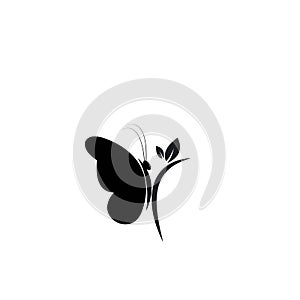Butterfly leaf Logo