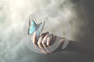 A butterfly leans on a woman`s hand