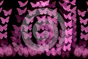 Butterfly light bokeh Background bright colorful night light