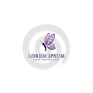Butterfly logo design, vector butterfly icon isolated white background
