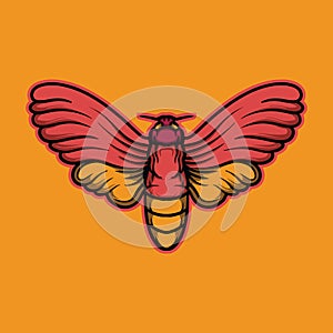 Butterfly logo Design vector graphic