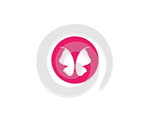 Butterfly logo vector icon