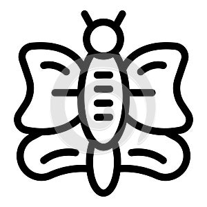 Butterfly metamorphosis icon outline vector. Cocoon cycle life