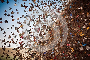 butterfly migration, with hundreds of butterflies fluttering and flying in unison