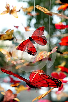 Butterfly Mobiles photo