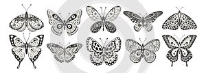 Butterfly and moth set, vector. Y2k style aesthetic, wing shapes in front view