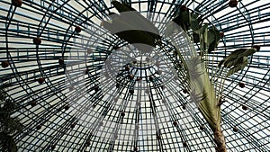 Butterfly nests on ceiling of Butterfly park in Bengaluru