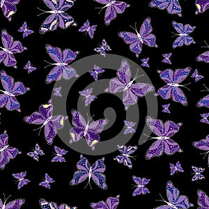 Butterfly on neutral, black and purple background