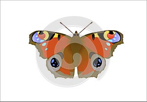 Butterfly Nymphalis io L isolated