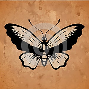 Butterfly on an old paper background