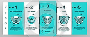 Butterfly Onboarding Icons Set Vector