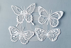 The Butterfly paper on grey colour background