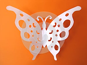 Butterfly from paper on orange background