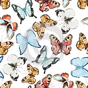 Butterfly pattern