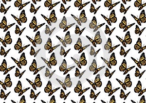 Butterfly pattern background wallpaper design