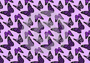 Butterfly pattern illustration for design layouts photo