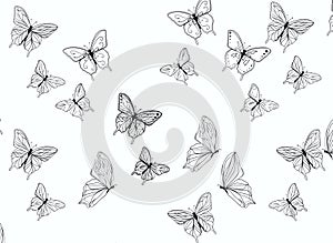 Butterfly pattern white background illustration