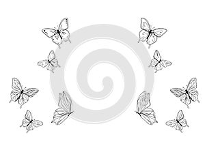 Butterfly pattern white background illustration