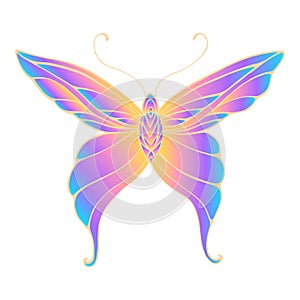 Butterfly with patterned wings, bright gradient orange purple blue color, isolated white background