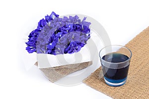 Butterfly pea as herb photo