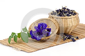 Butterfly pea, Asian pigeonwings dry and fresh (Clitoria ternatea L.).