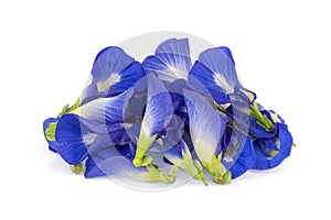 Butterfly pea, blue pea, or asian pigeonwings flower isolated on white background