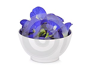 butterfly pea, blue pea, or asian pigeonwings flower in the white bowl isolated on white background