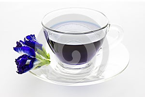 Butterfly pea in cup isolated on white background