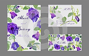 Butterfly pea flower on card