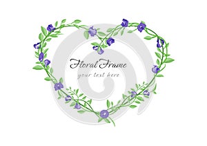 Butterfly pea flower in heart frame isolated on white background