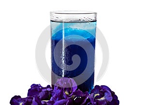 Butterfly pea flower juice isolated on white background,Blue pea flower tea in glass with ice,Contains Anthocyanin helps blood