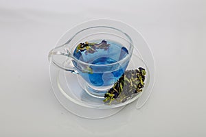 Butterfly pea flower tea 