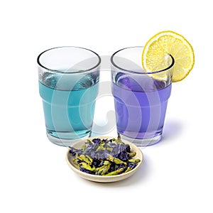 Butterfly pea flower tea and dried butterfly pea tea flowers close up on white background