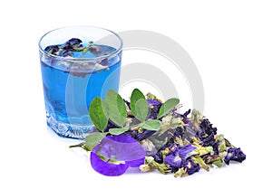 Butterfly pea tea in the glass with dried butterfly pea flower