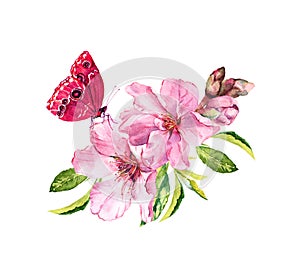 Butterfly, pink flowers, spring blossom. Flowering branch of apple, cherry tree. Watercolor floral twig
