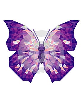 Butterfly purple wings on a white background. Low poly triangular geometric linear template butterfly for laser cutting. 