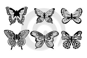 Butterfly realistic set of icons for wedding, tattoos or for decoration, black and white insects silhouette