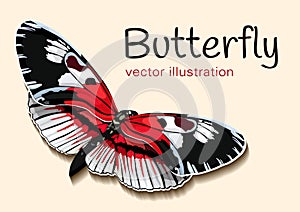 Butterfly with red black and white wings on a beige backdrop and space for text, vector background, banner, card, poster