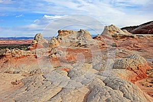 Butterfly, a rock formation at White Pocket, Coyote Buttes South CBS, Paria Canyon Vermillion Cliffs Wilderness, Arizona
