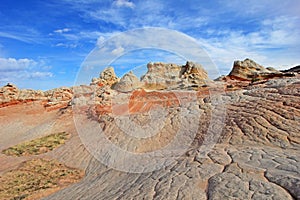 Butterfly, a rock formation at White Pocket, Coyote Buttes South CBS, Paria Canyon Vermillion Cliffs Wilderness, Arizona