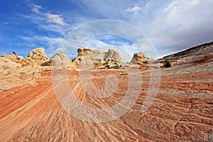 Butterfly, a rock formation at White Pocket, Coyote Buttes South CBS, Paria Canyon Vermillion Cliffs Wilderness, Arizona