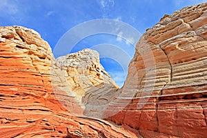 Butterfly, a rock formation at White Pocket, Coyote Buttes South CBS, Paria Canyon Vermillion Cliffs Wilderness, Arizona