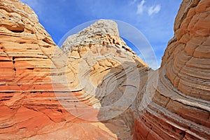 Butterfly, a rock formation at White Pocket, Coyote Buttes South CBS, Paria Canyon Vermillion Cliffs Wilderness, Arizona