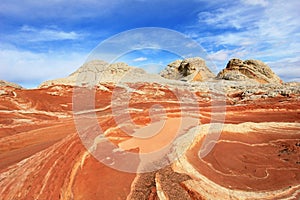 Butterfly, a rock formation at White Pocket, Coyote Buttes South CBS, Paria Canyon Vermillion Cliffs Wilderness, Arizona