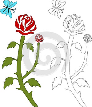 Butterfly and Rose Coloring Page