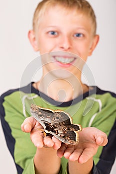 Butterfly Saturnia on child's hand