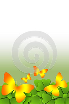 Butterfly scroll background