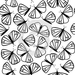 Butterfly seamless pattern