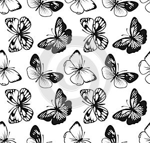 Butterfly Seamless Pattern. Decorative Fly Insect Background. Black and White Botanical Texture