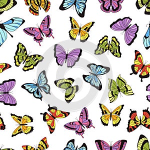 Butterfly seamless pattern. Floral garden print, seamless graphic background with butterflies and flowers. Vector hand